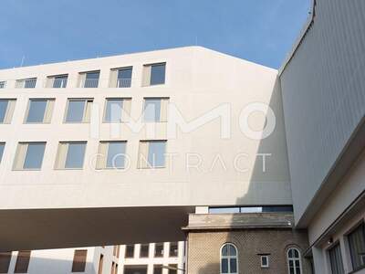 Gewerbeobjekt mieten in 1230 Wien (Bild 3)