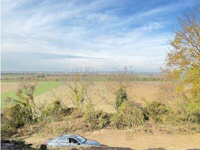 Grundstück kaufen in 3433 Königstetten (Bild 3)