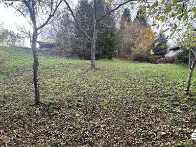 Grundstück kaufen in 9074 Keutschach (Bild 4)