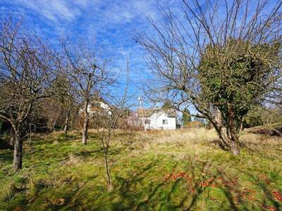 Grundstück kaufen in 3001 Mauerbach (Bild 3)