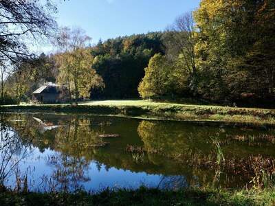 Gewerbeobjekt kaufen in 7433 Tauchen