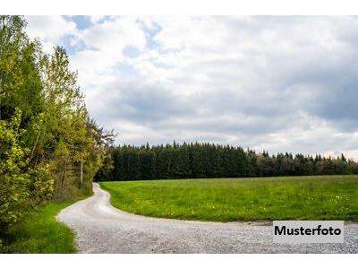 Grundstück kaufen in 6105 Leutasch