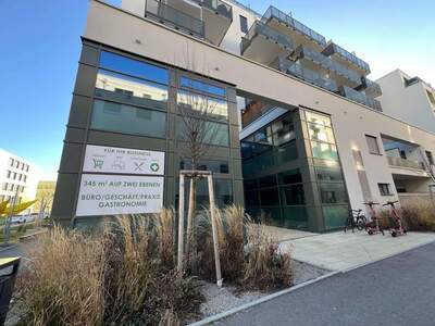 Gewerbeobjekt mieten in 1220 Wien