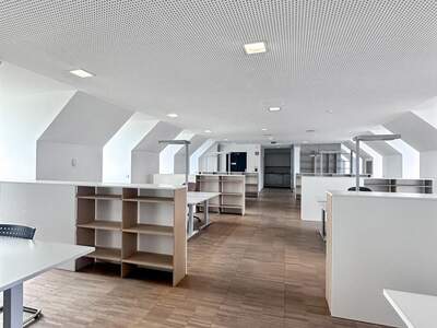 Gewerbeobjekt mieten in 4040 Linz (Bild 3)