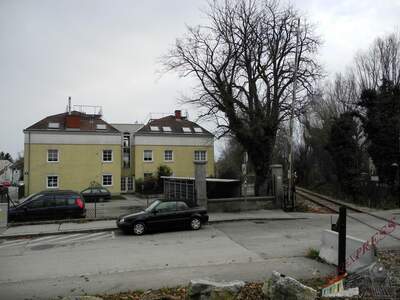 Halle / Lager / Produktion mieten in 1230 Wien (Bild 1)