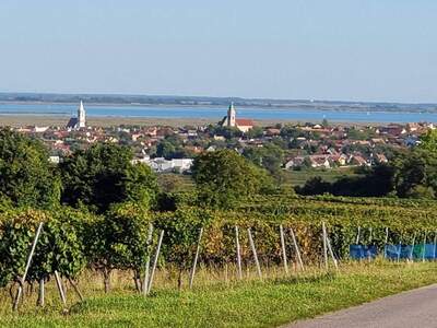 Wohnung kaufen in 7071 Rust