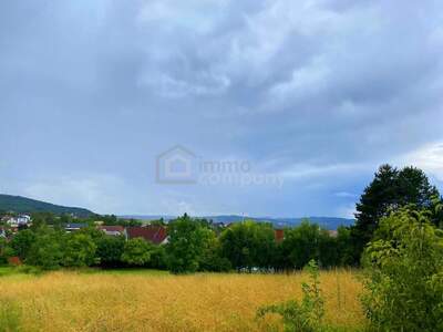 Grundstück kaufen in 2102 Bisamberg