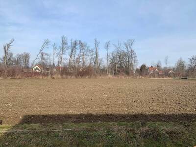 Grundstück provisionsfrei kaufen in 8490 Bad Radkersburg