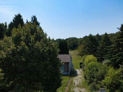 Grundstück kaufen in 2102 Hagenbrunn (Bild 1)