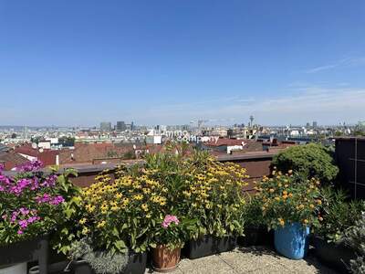 Wohnung kaufen in 1100 Wien