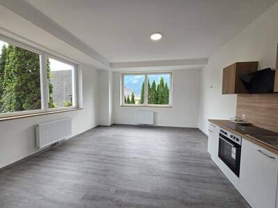 Wohnung mieten in 9800 Spittal
