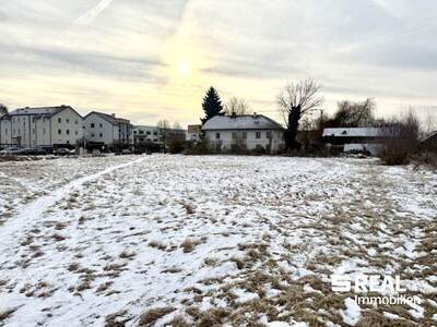 Grundstück kaufen in 4070 Pupping (Bild 3)