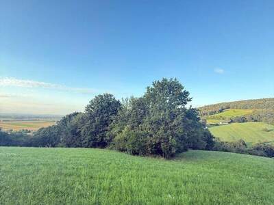 Gewerbeobjekt kaufen in 3433 Königstetten