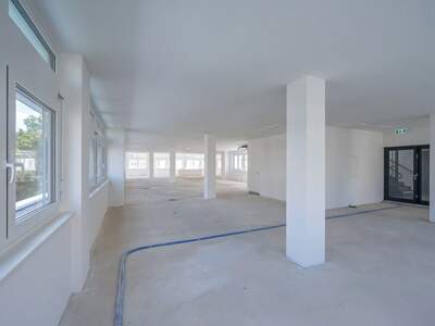Gewerbeobjekt mieten in 1130 Wien (Bild 3)