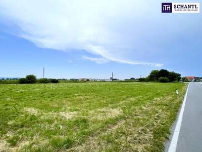 Grundstück kaufen in 2441 Mitterndorf (Bild 2)