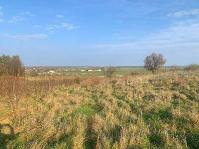 Grundstück kaufen in 2425 Nickelsdorf (Bild 2)