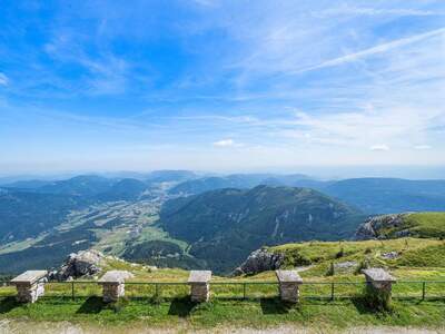 Gewerbeobjekt kaufen in 2734 Puchberg (Bild 3)