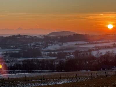 Grundstück kaufen in 4223 Weidegut (Bild 4)