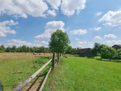 Haus kaufen in 3841 Windigsteig