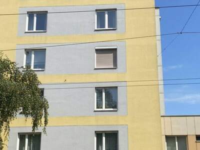 Anlageobjekt kaufen in 4020 Linz