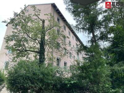 Wohnung kaufen in 5020 Salzburg