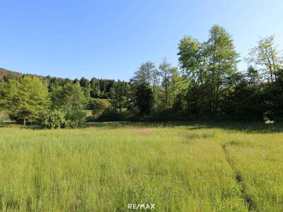Grundstück kaufen in 9081 Reifnitz