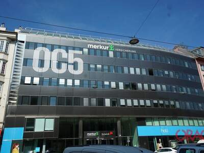 Gewerbeobjekt mieten in 1050 Wien (Bild 2)