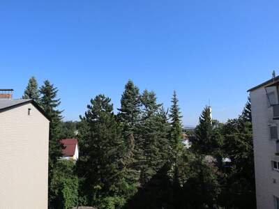 Altbauwohnung kaufen in 4060 Leonding (Bild 1)