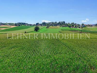 Einfamilienhaus kaufen in 8143 Dobl (Bild 3)