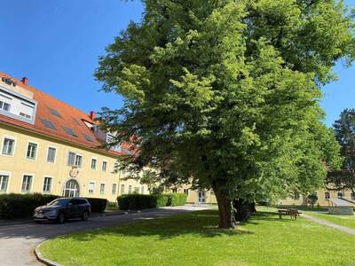 Wohnung mieten in 4040 Linz