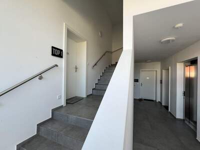 Anlageobjekt kaufen in 4540 Bad Hall (Bild 4)