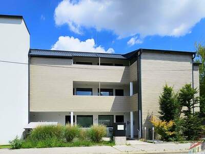 Gewerbeobjekt kaufen in 1100 Wien (Bild 1)