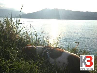 Grundstück kaufen in 4853 Steinbach