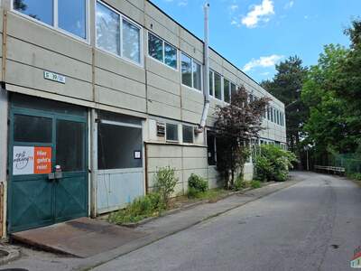Büro / Praxis mieten in 2514 Traiskirchen (Bild 2)