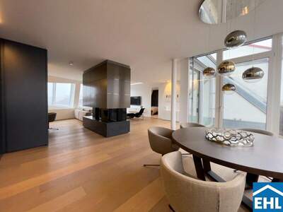 Terrassenwohnung kaufen in 1060 Wien (Bild 4)