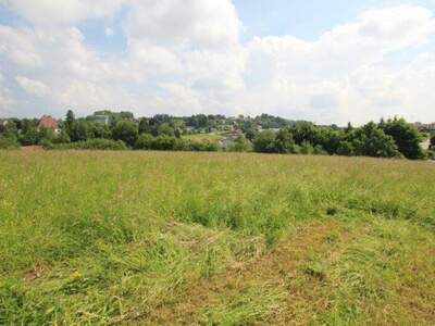 Grundstück kaufen in 4760 Raab