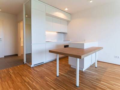 Wohnung mieten in 1100 Wien