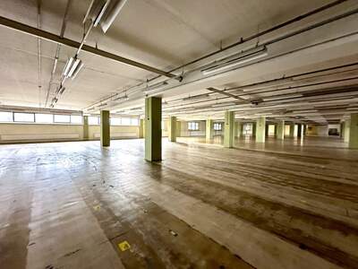 Gewerbeobjekt mieten in 8055 Graz (Bild 1)