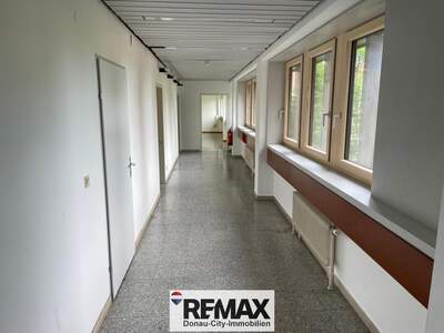 Büro / Praxis mieten in 3430 Tulln (Bild 4)