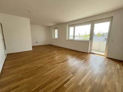 Terrassenwohnung kaufen in 3250 Wieselburg (Bild 2)