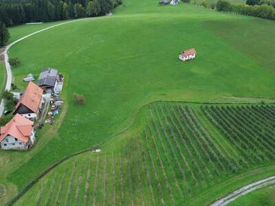 Gewerbeobjekt kaufen in 8570 Voitsberg