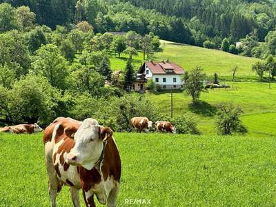 Haus kaufen in 9470 Granitztal