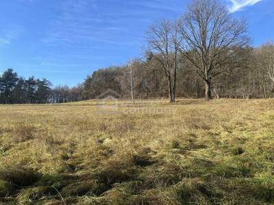 Grundstück kaufen in 8384 Minihof