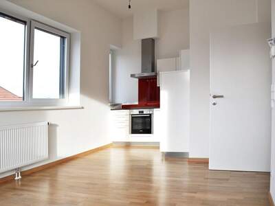 Wohnung mieten in 5101 Bergheim (Bild 1)