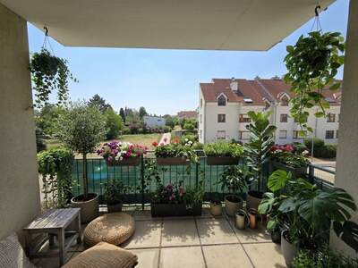 Wohnung mieten in 2512 Tribuswinkel