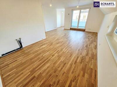 Terrassenwohnung kaufen in 1220 Wien (Bild 5)