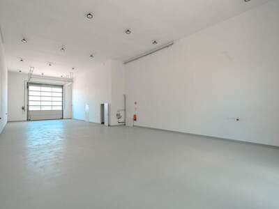 Gewerbeobjekt mieten in 2486 Pottendorf (Bild 4)