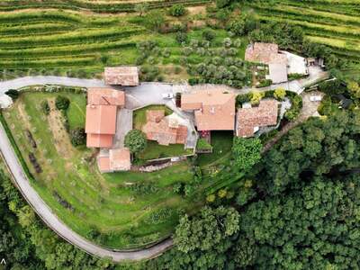 Haus mit Garten kaufen in 34070 Dolegna del Collio (Bild 2)
