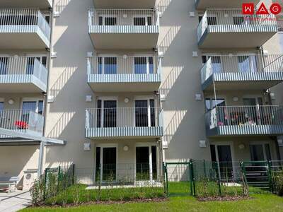 Wohnung mieten in 4030 Linz (Bild 3)