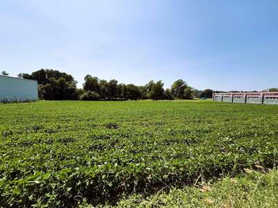 Gewerbeobjekt kaufen in 7400 Oberwart (Bild 1)
